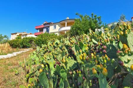 Villa Lucija Pula Exterior foto